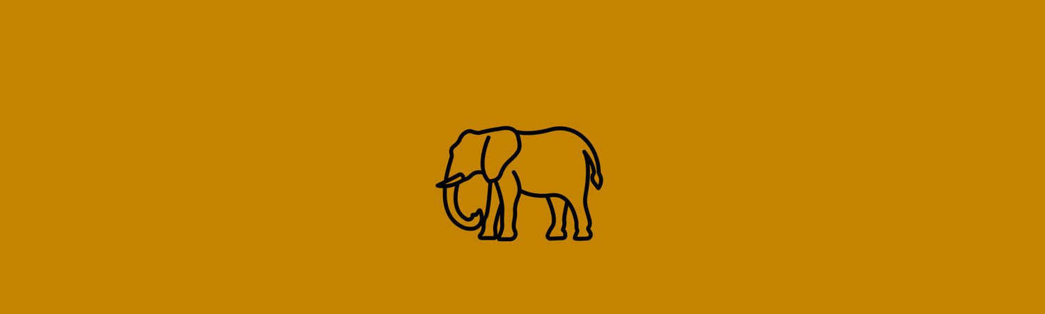 Ganesh &amp; Elephant - KarmaLucky